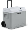 Lodówka Igloo, IE42 – 42 L, 230 V, Szary/Biały, IE42 elektryczna 42L – 12/230V, Termoelektryczna z kółkami i uchwytem teleskopowym do auta, kampera